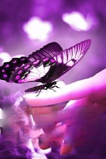 Bìa truyện Người Bình Thường