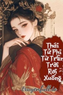 Bìa truyện Thái Tử Phi Từ Trên Trời Rơi Xuống