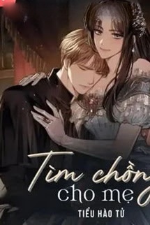 Bìa truyện Tìm Chồng Cho Mẹ