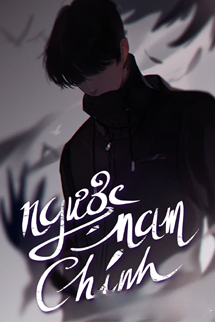 Bìa truyện Ngược Nam Chính