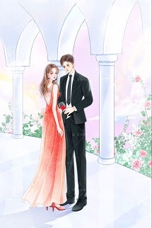 Bìa truyện Ngạn Thiếu Truy Thê