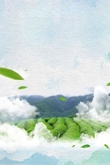Bìa truyện Bí Mật Đồi Trà