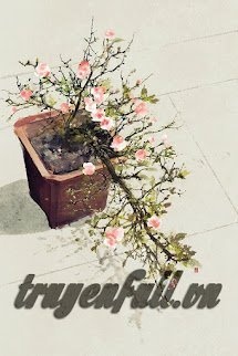 Bìa truyện Nếu Có Biết Xuân Về Chốn Nọ