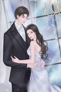 Bìa truyện Cuộc Liên Hôn Sai Lầm