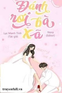 Bìa truyện Đánh Rơi Bà Xã