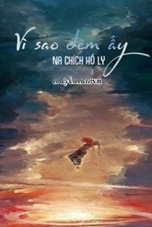 Bìa truyện Vì Sao Đêm Ấy