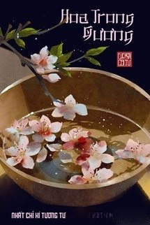 Bìa truyện Hoa Trong Gương