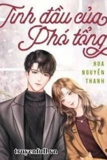 Bìa truyện Tình Đầu Của Phó Tổng