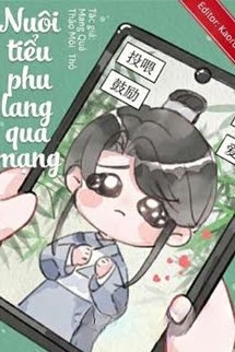 Bìa truyện Nuôi Tiểu Phu Lang Qua Mạng