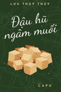 Bìa truyện Đậu Hũ Ngâm Muối - Lưu Thủy Thủy