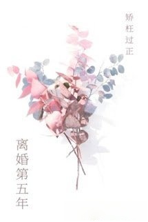 Bìa truyện Ly Hôn Năm Thứ Năm