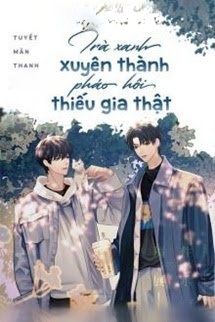 Bìa truyện Trà Xanh Xuyên Thành Pháo Hôi Thiếu Gia Thật