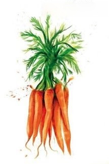Bìa truyện Gọt Cà Rốt Thành Khối Chưa?