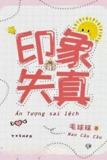 Bìa truyện Ấn Tượng Sai Lệch