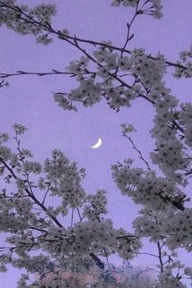 Bìa truyện Không Buông Bỏ Được