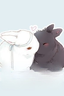 Bìa truyện Hoàn Lương