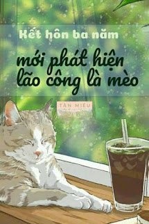 Bìa truyện Kết Hôn Ba Năm Phát Hiện Lão Công Là Mèo