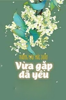 Bìa truyện Vừa Gặp Đã Yêu