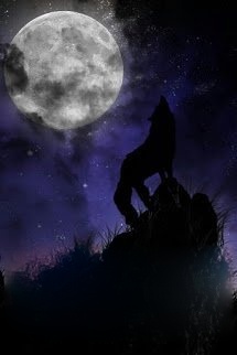 Bìa truyện Mê Tông Chi Quốc