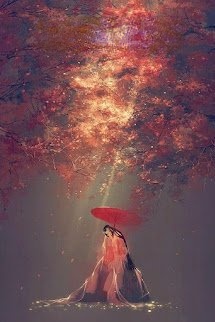 Bìa truyện Phồn Hoa Tự Cẩm