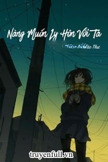 Bìa truyện Nàng Muốn Cùng Ta Ly Hôn