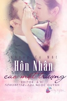 Bìa truyện Hôn Nhân Cao Một Trượng