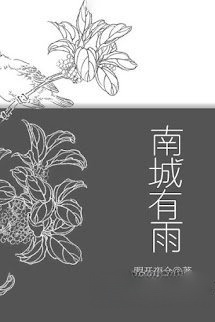 Bìa truyện Nam Thành Có Mưa