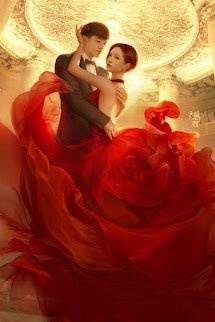 Bìa truyện Hạ Tiên Sinh! Yêu Anh Em Sai Rồi