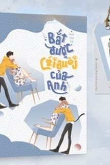 Bìa truyện Bắt Được Cái Đuôi Của Anh