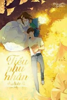 Bìa truyện Tiểu Phu Nhân