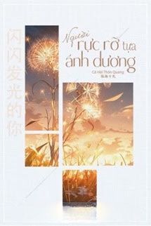 Bìa truyện Người Rực Rỡ Tựa Ánh Dương