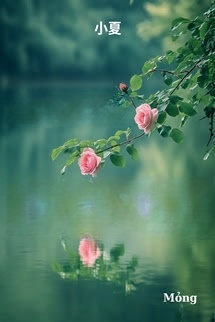 Bìa truyện Người Thứ Ba - Tiểu Hạ