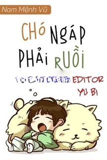 Bìa truyện Chó Ngáp Phải Ruồi - Nam Mệnh Vũ