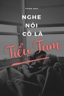 Bìa truyện Nghe Nói Ngươi Là Tiểu Tam