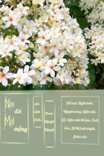 Bìa truyện Nửa Đời Một Mộng