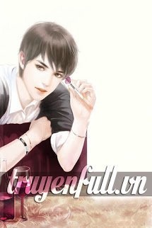 Bìa truyện Chàng Rể Đa Tài