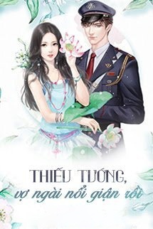 Bìa truyện Thiếu Tướng, Vợ Ngài Nổi Giận Rồi