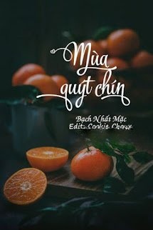 Bìa truyện Mùa Quýt Chín