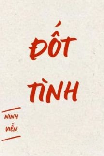 Bìa truyện Đốt Tình - Ninh Viễn