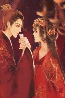 Bìa truyện Hồng Trần Ái Tình
