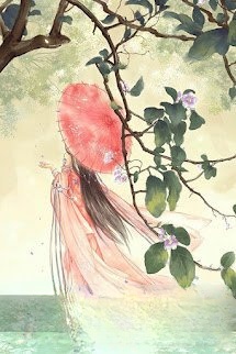 Bìa truyện Hư Nguyệt Hoa Mãn