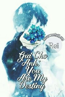 Bìa truyện Gửi Cho Anh: You Are My Destiny
