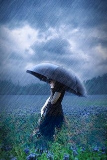 Bìa truyện Ngày Mưa Sẽ Ngừng Rơi