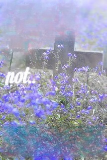 Bìa truyện Forget Me Not