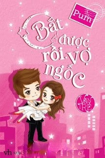 Bìa truyện Bắt Được Rồi, Vợ Ngốc