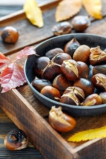 Bìa truyện Hạt Dẻ Ngào Đường