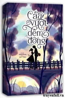 Bìa truyện Cầu Vượt Đêm Đông