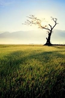 Bìa truyện Nhất Lộ - Trầm Giang Nhất