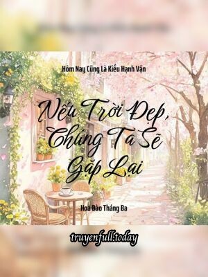 Bìa truyện Nếu Trời Đẹp, Chúng Ta Sẽ Gặp Lại