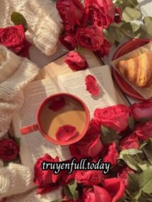 Bìa truyện Hoa Hồng Và Bẫy Thiên Thần - Tiểu Thanh Sơn Cấn